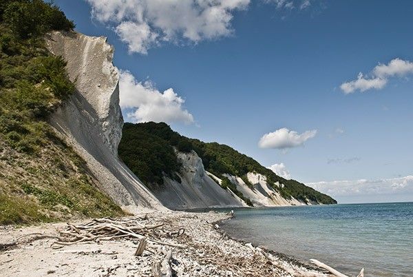 Viajar a Dinamarca y visitar los acantilados de la isla de Møn.