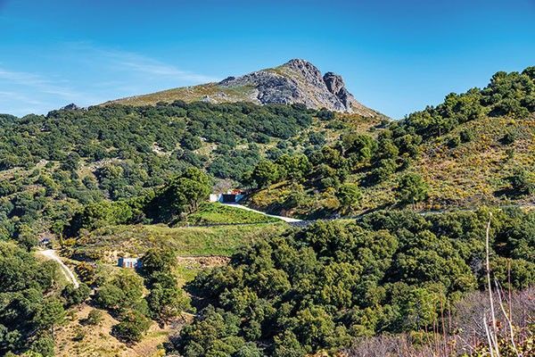 Parque Natural de Grazalema. © Rudi Ernst - Shutterstock.